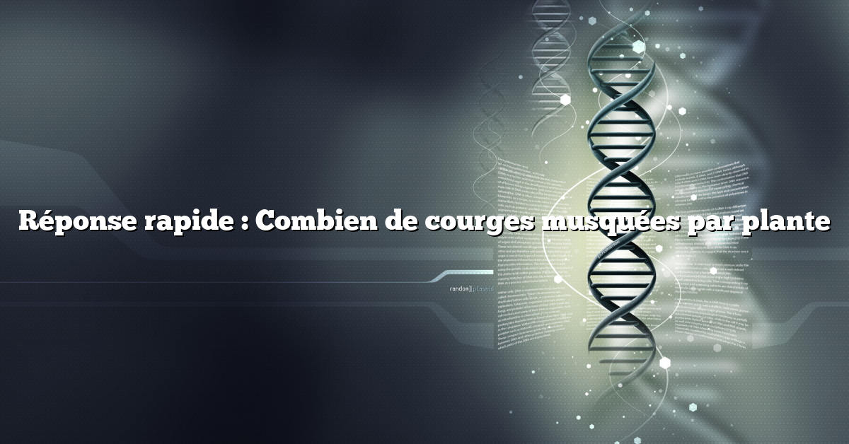 Réponse rapide : Combien de courges musquées par plante